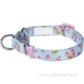 Safety Training Martingale Dog Collar No Buckle